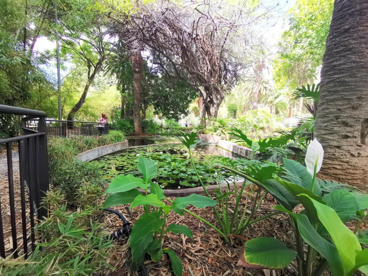 Home2Book Center Apartment Santa Cruz, Wifi מראה חיצוני תמונה